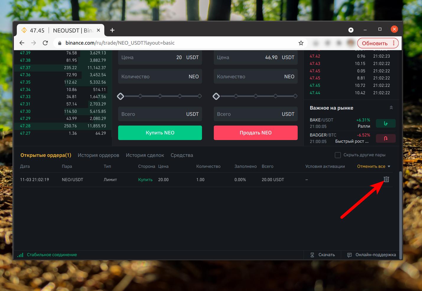 Открыть ордер. P2p Бинанс ордер. Ордера на Бинансе. P2p сделка Binance ордер. Отменить ордер на Бинанс.